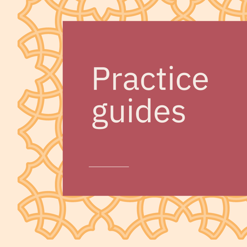 practice guides image